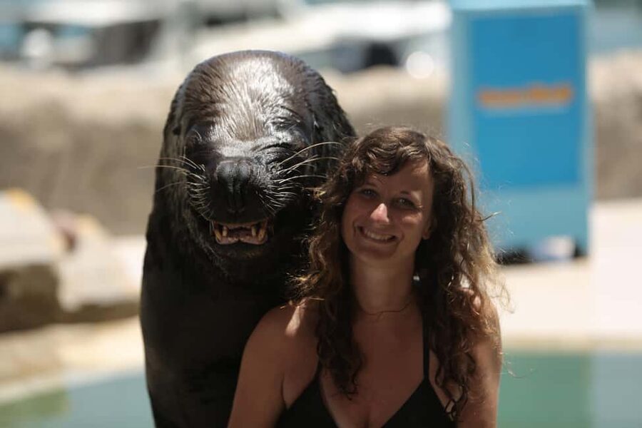 Ocean World Dolphin Swim & Sea Lion Combo from Puerto Plata - The dolphin swim begins with a useful introduction