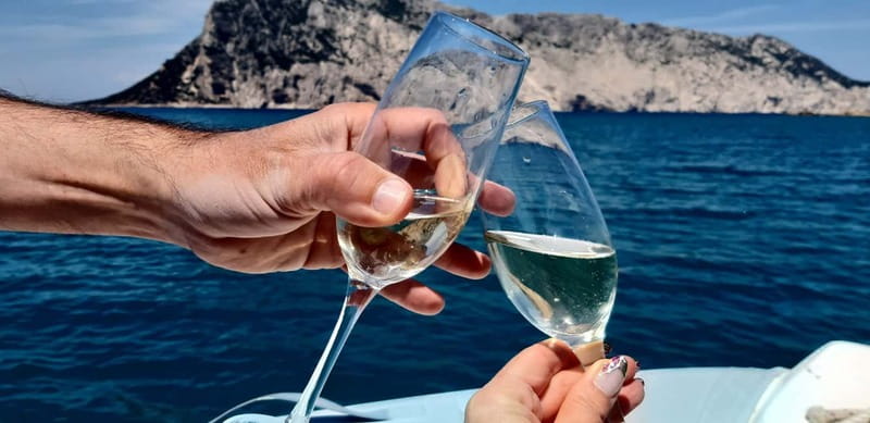 Olbia: Boat tour to watch Dolphins and snorkeling - Dolphins are the reason to choose this boat trip