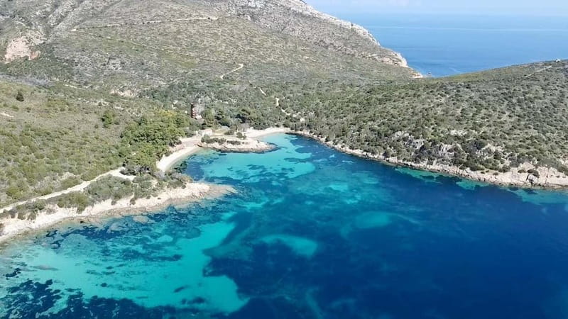 Olbia: Boat tour to watch Dolphins and snorkeling - Who will enjoy this trip most?