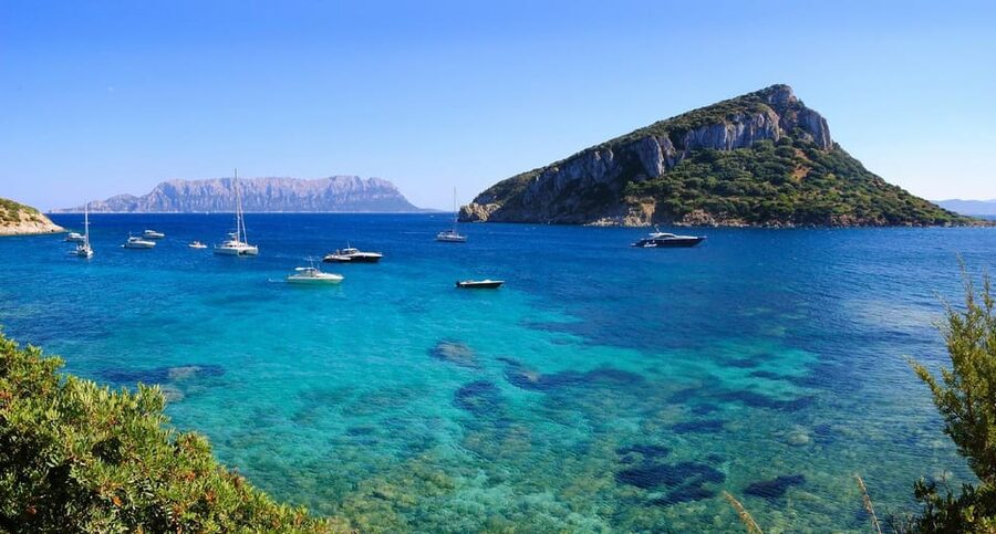Olbia: Dolphin Watching and Snorkeling Boat Tour - Why the dolphins near Figarolo are the real draw