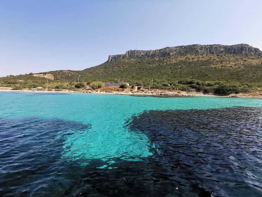 Olbia: Dolphin watching and snorkeling tour on Figarolo Island - What dolphin watching is really like here