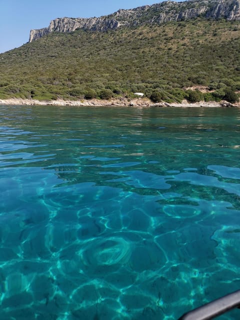 Olbia: Dolphin watching and snorkeling tour on Figarolo Island - Cala Moresca brings a second swimming stop