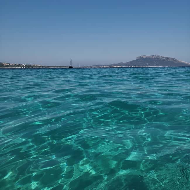 Olbia: Dolphin watching and snorkeling tour on Figarolo Island - Who should take this Olbia boat trip?
