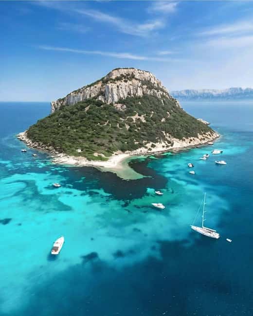 Olbia: Dolphin Watching & Snorkeling Boat Tour near Figarolo - Value at $77 per person