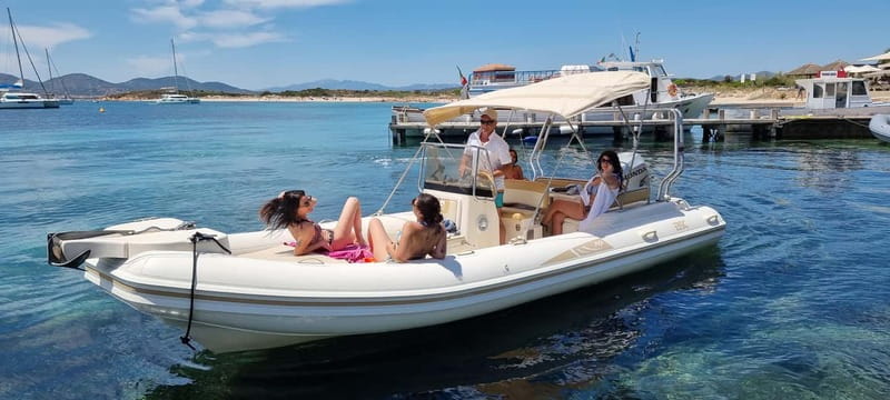 Olbia: Dolphin Watching & Swim with prosecco aperitif - Key points to know before you book