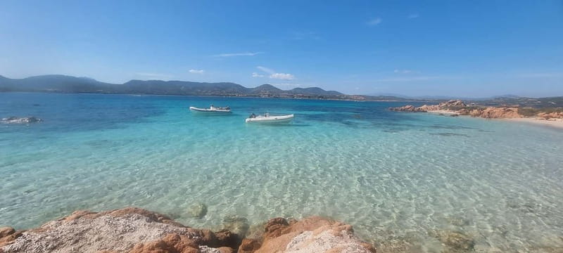 Olbia: Dolphin Watching & Swim with prosecco aperitif - Why the Figarolo dolphin stop is the heart of the trip