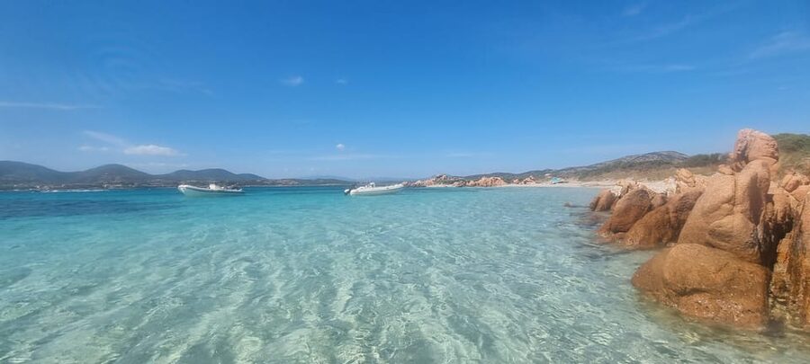 Olbia: Dolphin Watching & Swim with prosecco aperitif - What happens at the dolphin-watching area
