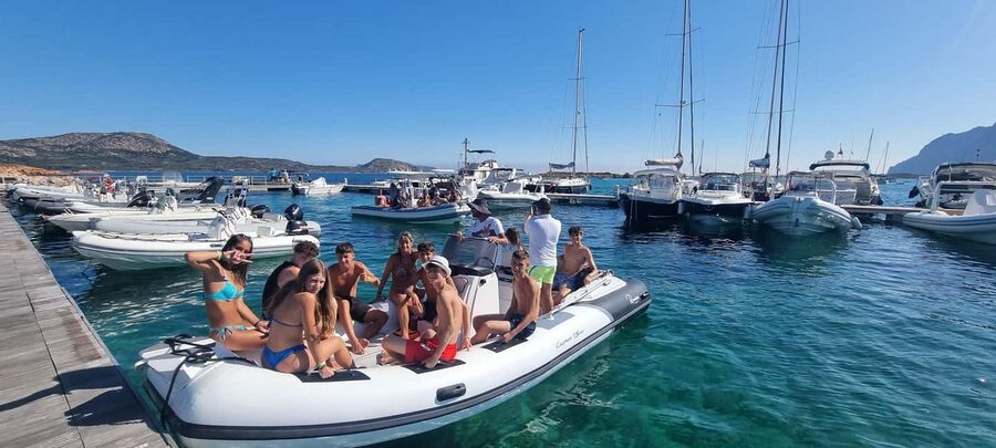Olbia: Dolphin Watching & Swim with prosecco aperitif - Is $71 a fair price?