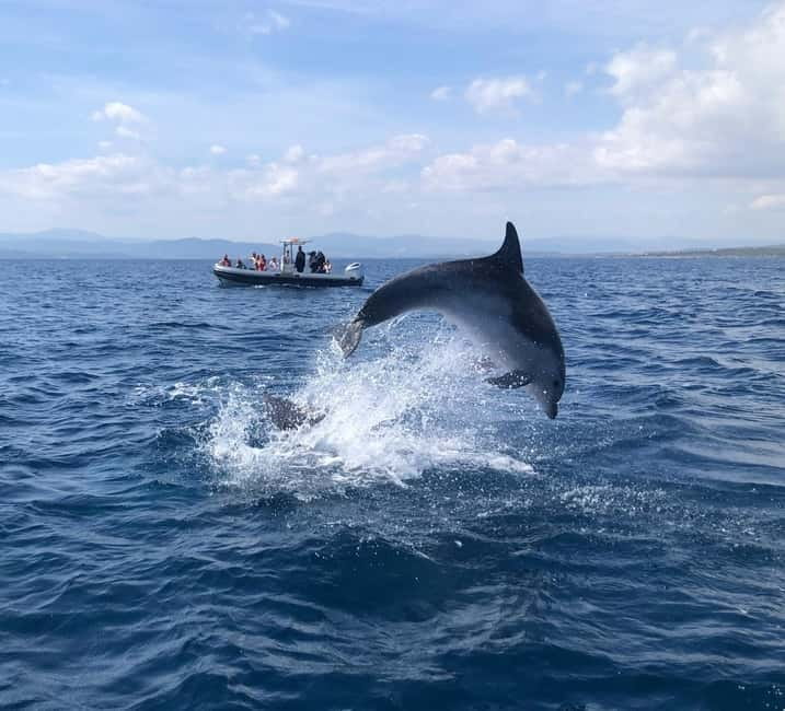 Olbia: Eco-Friendly Dolphin-Watching Boat Trip - How the dolphin search works
