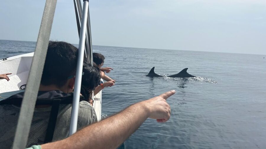Olhão- Safari Watching Dolphins and other species - Leaving Olhão for the dolphin search