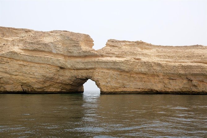 Oman Dolphin Watching Tours - Finding spinner, bottlenose, and common dolphins