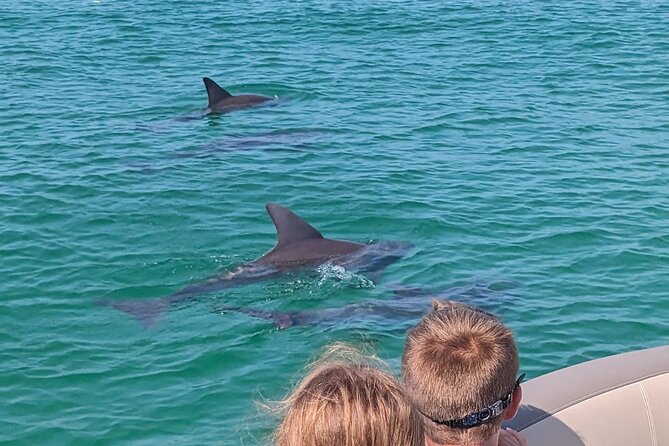 One Hour Harbor Shared Tour with Dolphin Watching - What the onboard amenities mean for you