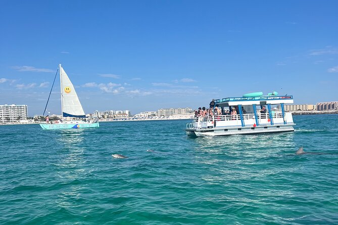 One Hour Harbor Shared Tour with Dolphin Watching - Group size, comfort, and accessibility