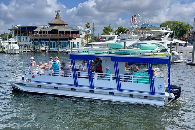 One Hour Harbor Shared Tour with Dolphin Watching - Who will enjoy this experience most
