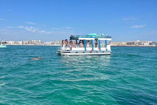 One Hour Harbor Shared Tour with Dolphin Watching - Watching for dolphins in the harbor