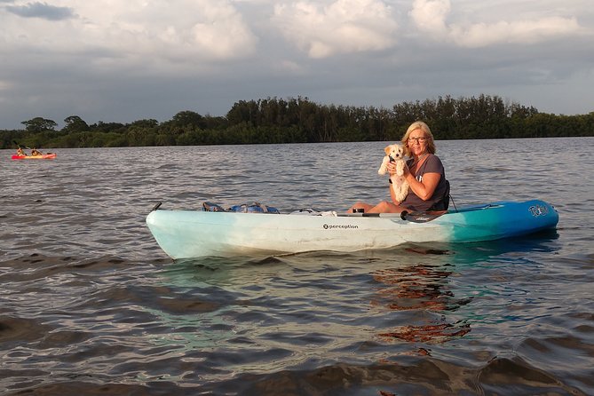 One Single Kayak Rental for 2 hours with Manatee & Dolphin sightings! - What you are really booking on Indian River Lagoon
