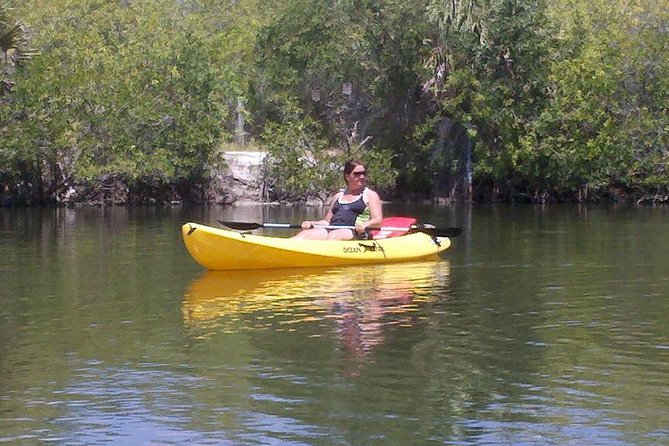 One Single Kayak Rental for 2 hours with Manatee & Dolphin sightings! - Starting at Manatee Cove Park