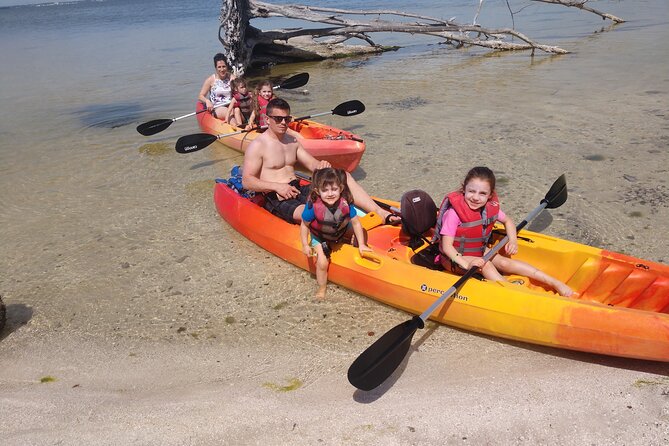 One Single Kayak Rental for 2 hours with Manatee & Dolphin sightings! - Wildlife: exciting, but never guaranteed
