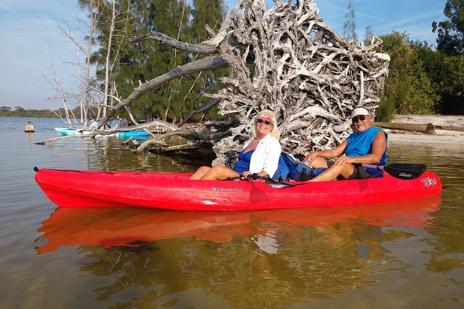 One Single Kayak Rental for 2 hours with Manatee & Dolphin sightings! - Kayak, paddle, and life jacket included