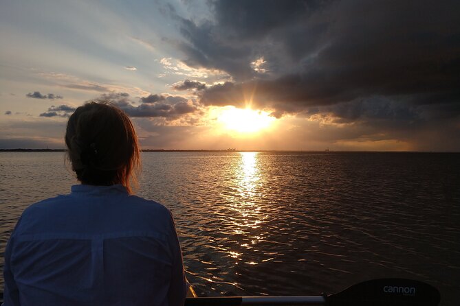One Single Kayak Rental for 2 hours with Manatee & Dolphin sightings! - Family use and beginner comfort