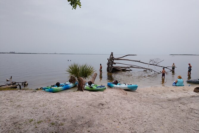One Tandem Kayak Rental for 2 hours with Manatee & Dolphin sightings! - A beginner trip with real weather limits