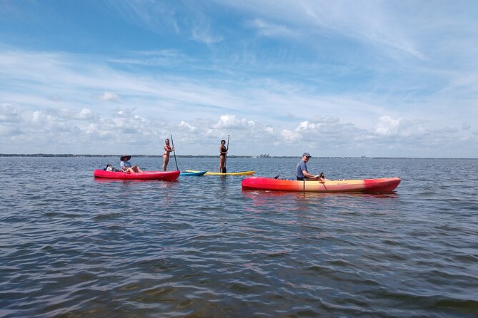 One Tandem Kayak Rental for 2 hours with Manatee & Dolphin sightings! - What I like most about the experience