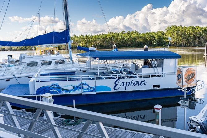 Orange Beach Dolphin Eco Boat Tour - What the Orange Beach dolphin cruise is really like