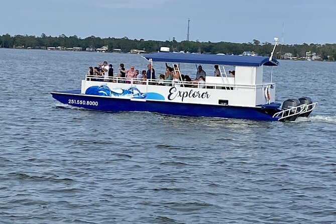 Orange Beach Dolphin Eco Boat Tour - Birds, alligators, and the wider coastal ecosystem