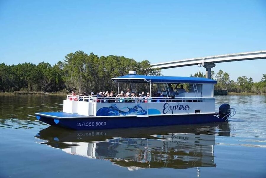 Orange Beach: Dolphin Eco Sunset Cruise aboard The Explorer - Key points to know before boarding