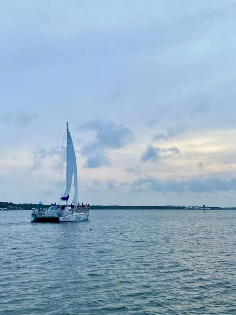 Orange Beach: Dolphin & Sailing Cruise Aboard 52' Catamaran - Key points to know before you sail