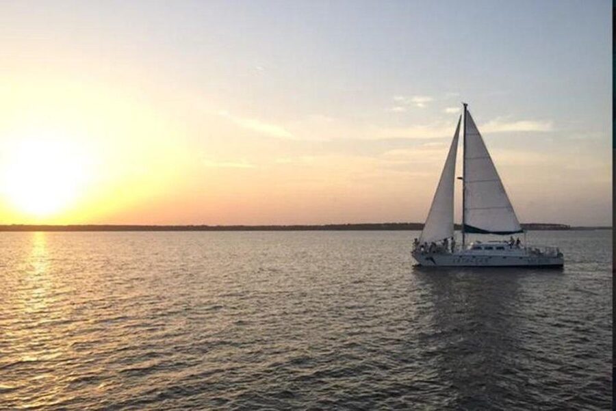 Orange Beach: Dolphin & Sailing Cruise Aboard 52' Catamaran - A calm sail through Wolf Bay