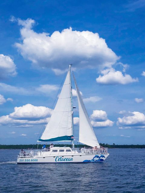 Orange Beach: Dolphin & Sailing Cruise Aboard 52' Catamaran - What happens once you board