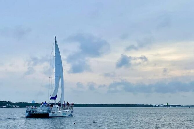 Orange Beach Dolphin Sailing Cruise aboard Catamaran - Key points to know before you book