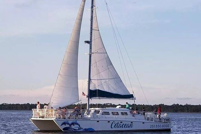 Orange Beach Dolphin Sailing Cruise aboard Catamaran - A comfortable catamaran, with music and a bar