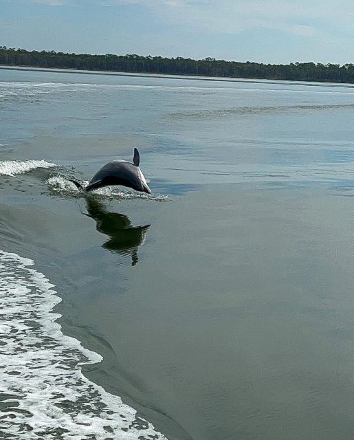 Orange Beach: Dolphin-Watching Eco-Boat Tour - At a glance