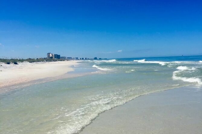 Orlando: Clearwater Beach, Dolphin Cruise Small Group Max 14 Tour - Why this Orlando beach trip works