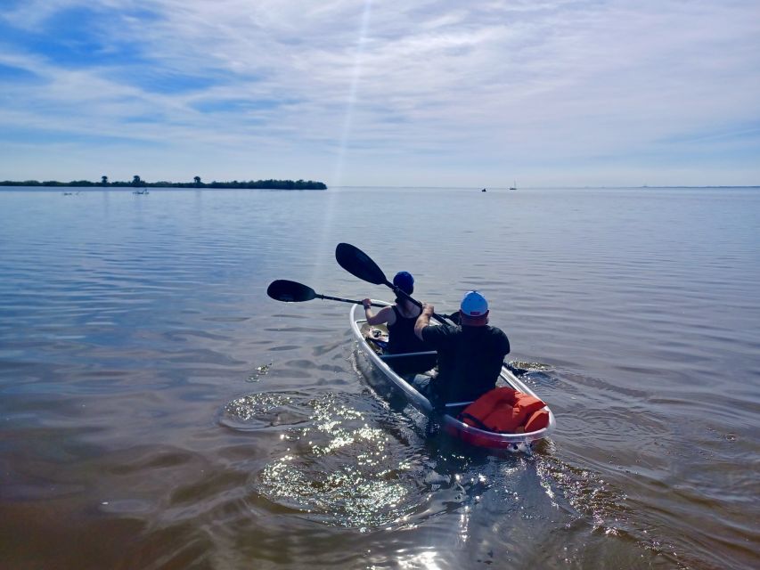 Orlando: Dolphin Clear Kayak or Paddle Board Adventure - What one verified outing tells you