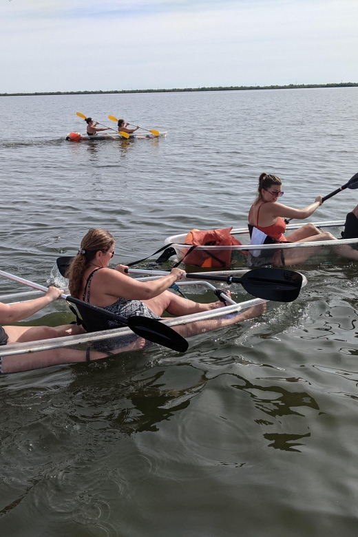 Orlando: Dolphin Clear Kayak or Paddle Board Adventure - What the two-hour route feels like