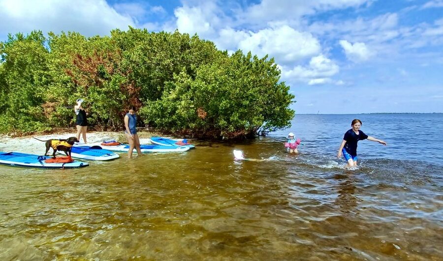 Orlando: Dolphin Clear Kayak or Paddle Board Adventure - What to wear and pack for the lagoon