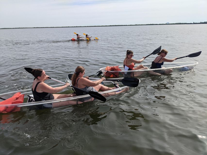 Orlando: Dolphin Clear Kayak or Paddle Board Adventure - Starting at the Titusville launch point