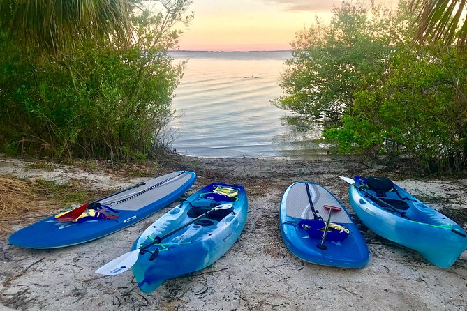 Paddle Board or Kayak Eco Dolphin Manatee Tour - A quiet start in Merritt Island