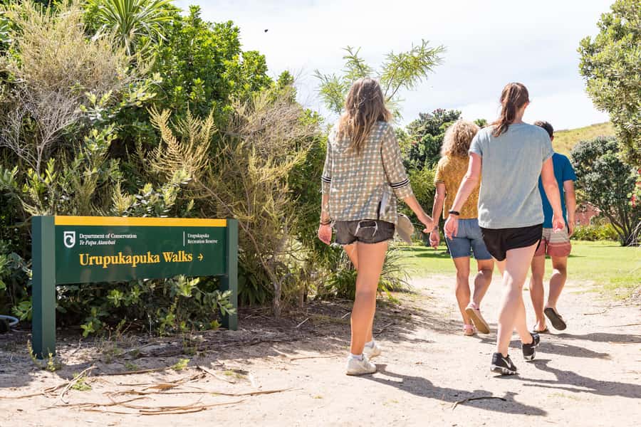 Paihia: Bay of Islands Dolphin Eco Cruise & Island Stopover - The practical value of $89