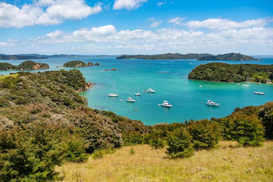 Paihia: Bay of Islands Dolphin Eco Cruise & Island Stopover - Otehei Bay and Urupukapuka Island