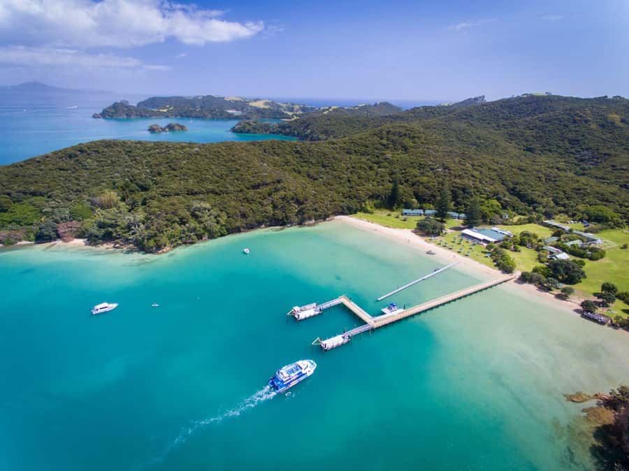 Paihia/Russell: Hole in the Rock, Dolphins & Island Cruise - Key points to know before you book