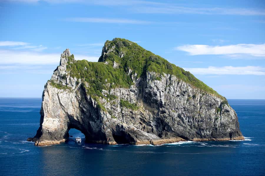 Paihia/Russell: Hole in the Rock, Dolphins & Island Cruise - Why this Bay of Islands cruise works so well
