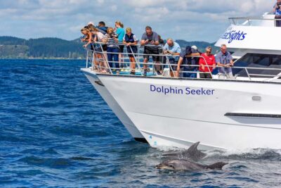 Paihia/Russell: Hole in the Rock, Dolphins & Island Cruise