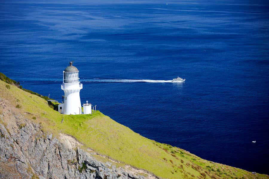 Paihia/Russell: Hole in the Rock, Dolphins & Island Cruise - The 1.5-hour pause at Otehei Bay