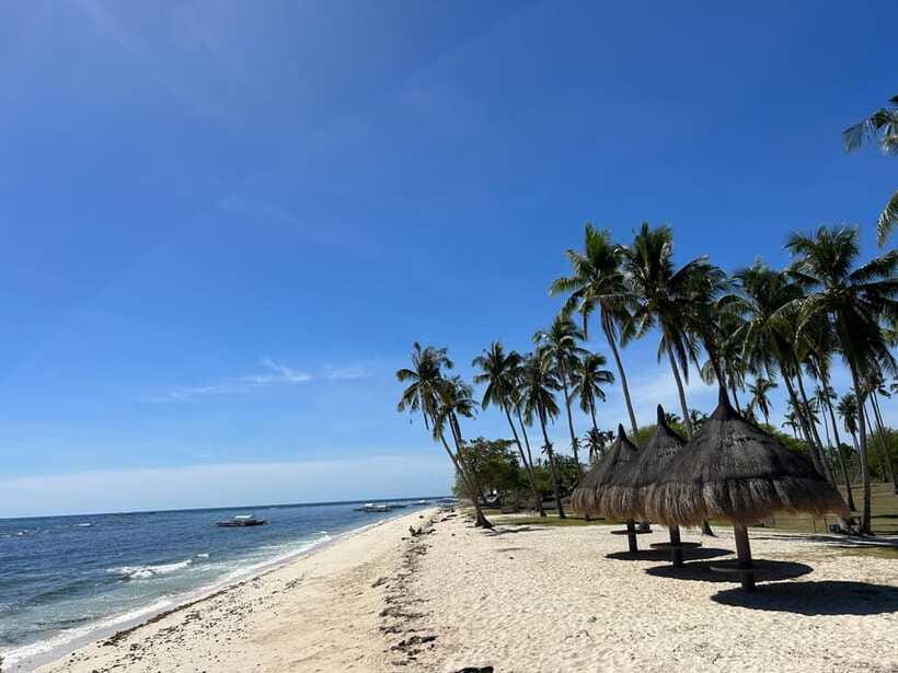 Pamilacan island: Dolphins, snorkel, lunch and walking tour - A sandy lunch with a Boholano touch