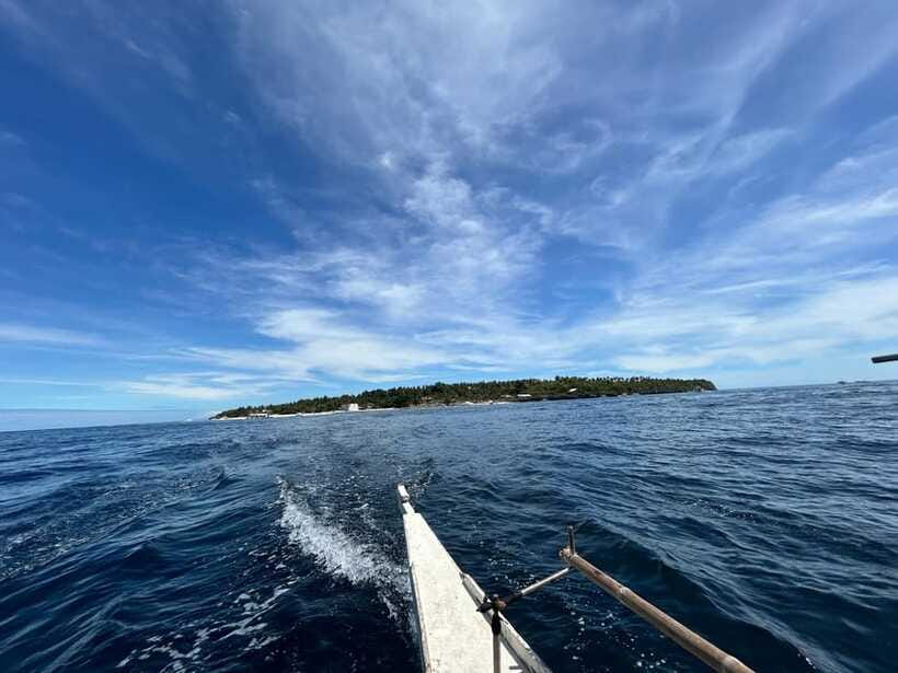 Pamilacan island: Dolphins, snorkel, lunch and walking tour - Should you book the Pamilacan Island tour?