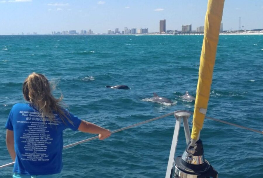 Panama City Beach: Dolphin Sightseeing Trip by Catamaran - What to bring and what to leave behind